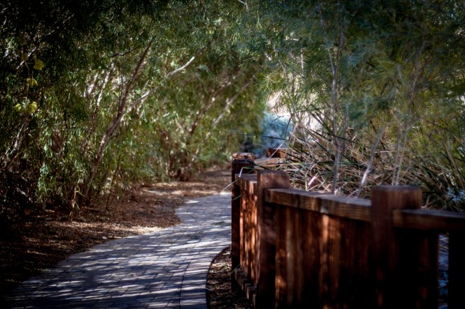 20121227 Whitewater (10)