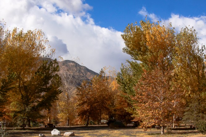 20121227 Whitewater (4)