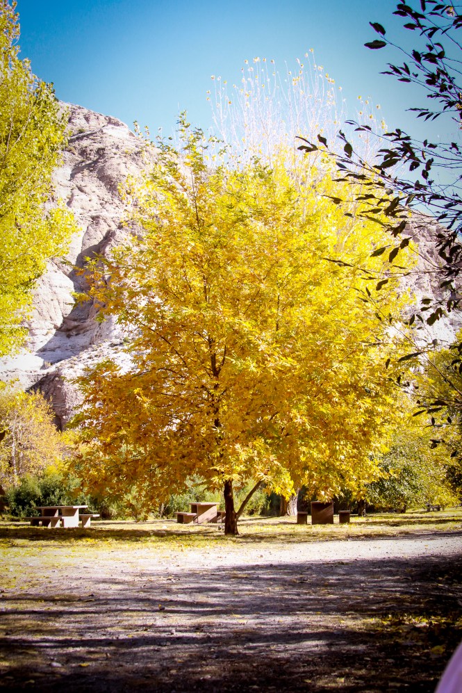 20121227 Whitewater (7)