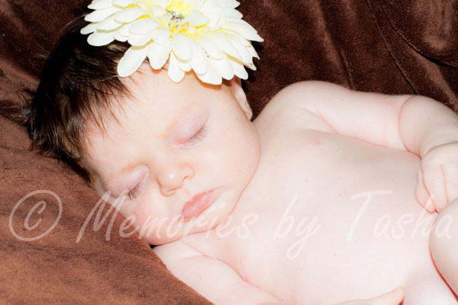 north carolina - photographer - newborn-2