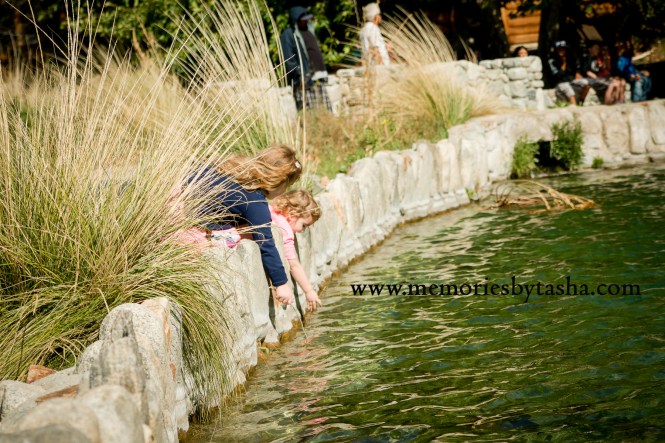 Twentynine Palms Photographer, Twentynine Palms Children's Photography, Yucca Valley Photography, Yucca Valley Children's Photography