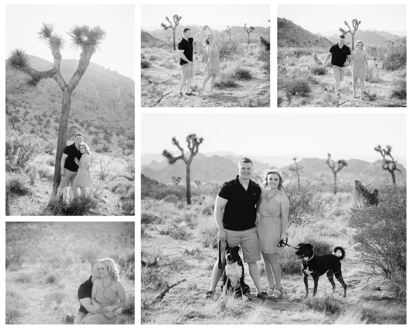 Twentynine Palms Couple's Photography - Yucca Valley Couple's Photography - Joshua Tree Couple's Photography - Leins 2