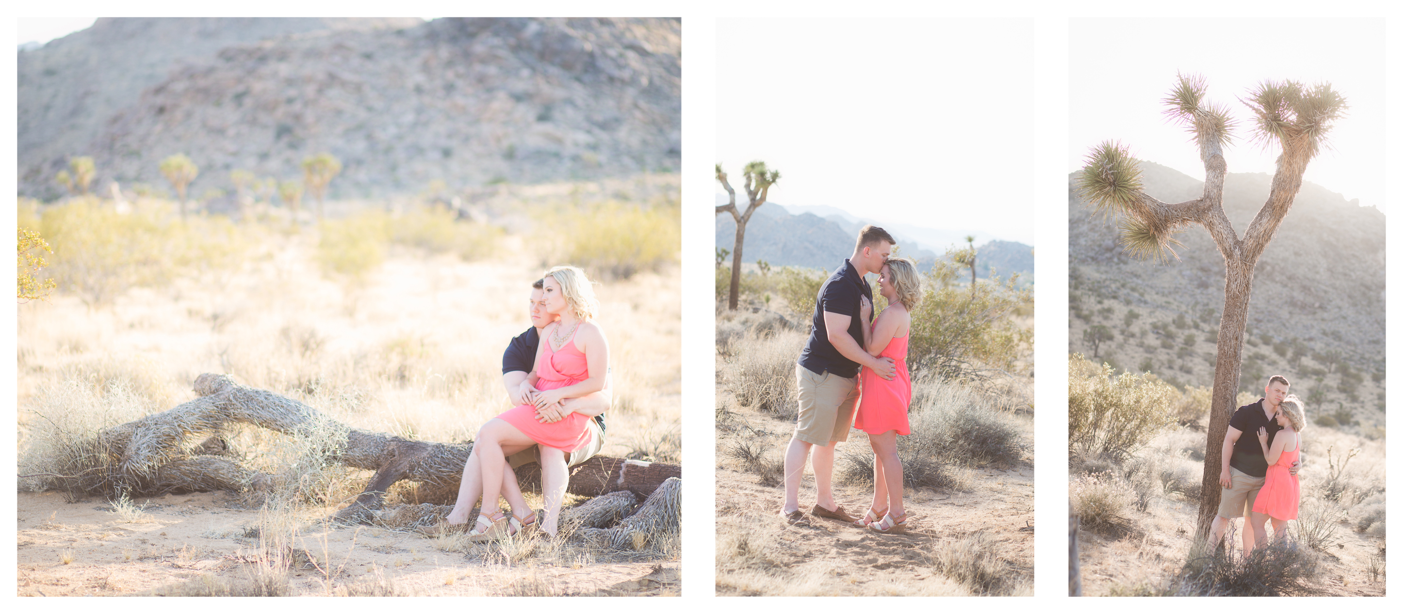 Twentynine Palms Couple's Photography - Yucca Valley Couple's Photography - Joshua Tree Couple's Photography - Leins
